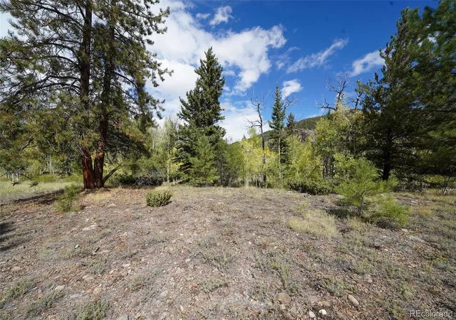 Photo 1 of Land for sale at 48 Deer Park Rd, Antonito, CO 81120 | MLS# 2848200 | Listing updated on 2026-10-07