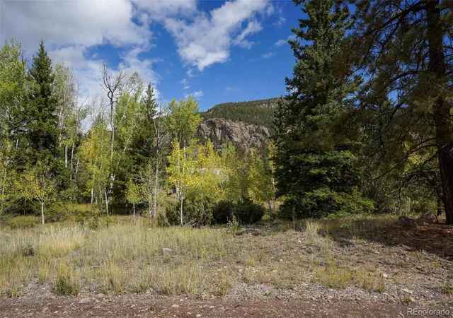 Photo 2 of Land for sale at 48 Deer Park Rd, Antonito, CO 81120 | MLS# 2848200 | Listing updated on 2026-10-07