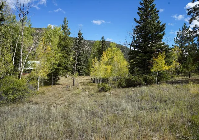 Photo 3 of Land for sale at 48 Deer Park Rd, Antonito, CO 81120 | MLS# 2848200 | Listing updated on 2026-10-07