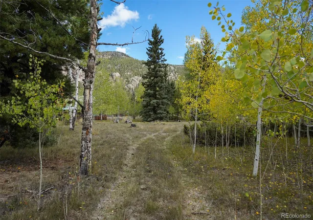 Photo 3 of Land for sale at 48 Deer Park Rd, Antonito, CO 81120 | MLS# 2848200 | Listing updated on 2026-10-07