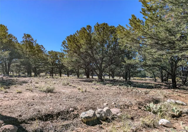Photo 3 of Land for sale at 112 Baca Grant Way, Crestone, CO 81131 | MLS# 5758473 | Listing updated on 2026-10-08