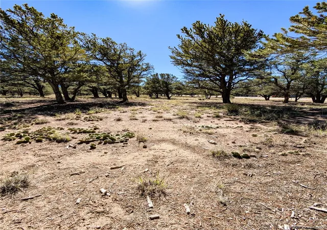 Photo 4 of Land for sale at 112 Baca Grant Way, Crestone, CO 81131 | MLS# 5758473 | Listing updated on 2026-10-08