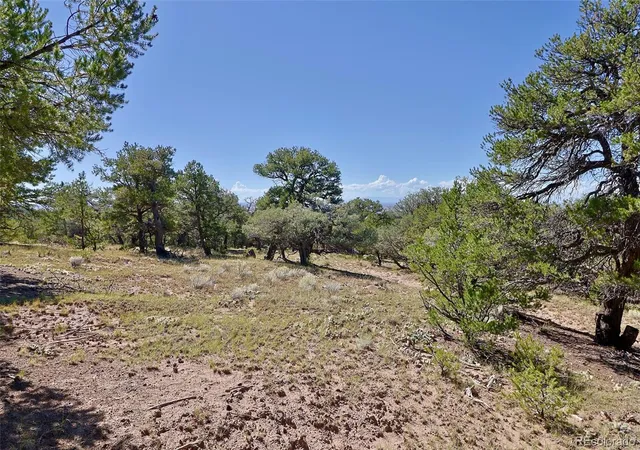Photo 3 of Land for sale at 1731 Willow Crk Way, Crestone, CO 81131 | MLS# 3177068 | Listing updated on 2026-10-16
