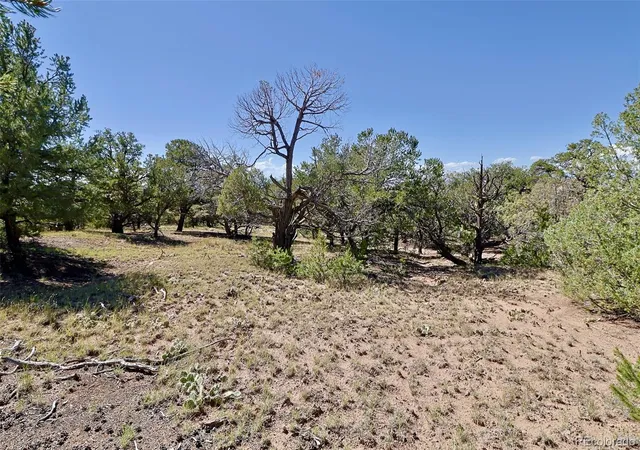 Photo 3 of Land for sale at 1731 Willow Crk Way, Crestone, CO 81131 | MLS# 3177068 | Listing updated on 2026-10-16