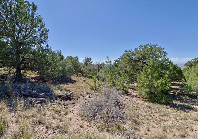 Photo 4 of Land for sale at 1731 Willow Crk Way, Crestone, CO 81131 | MLS# 3177068 | Listing updated on 2026-10-16