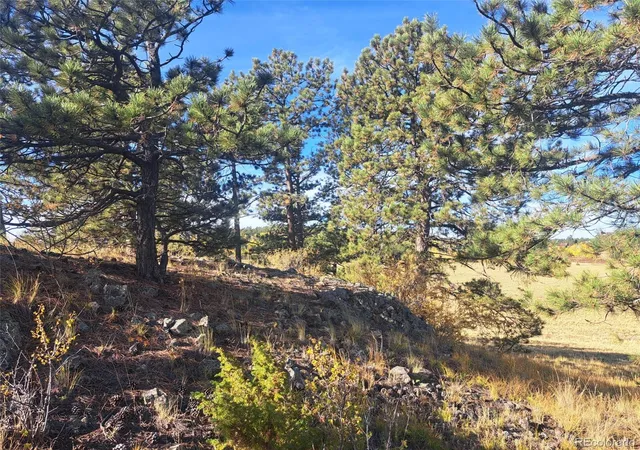 Photo 1 of Land for sale at 2151 County Rd 403, Lake George, CO 80827 | MLS# 1979093 | Listing updated on 2026-10-08