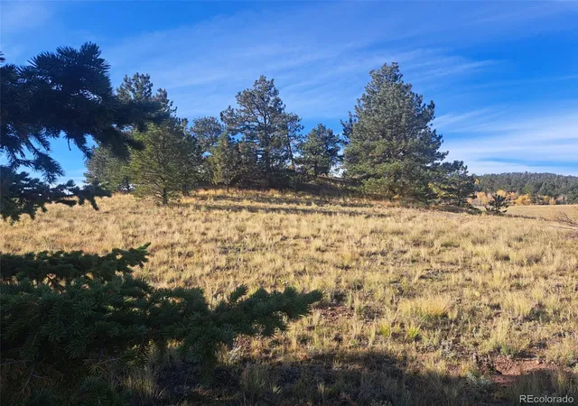Photo 2 of Land for sale at 2151 County Rd 403, Lake George, CO 80827 | MLS# 1979093 | Listing updated on 2026-10-08