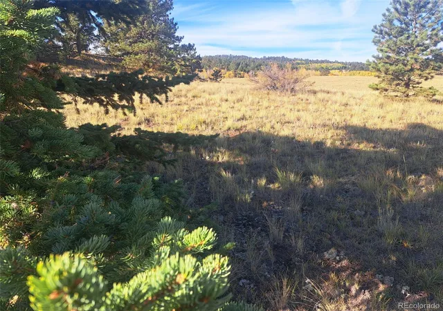 Photo 3 of Land for sale at 2151 County Rd 403, Lake George, CO 80827 | MLS# 1979093 | Listing updated on 2026-10-08