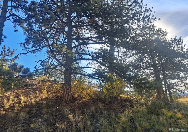 Photo 4 of Land for sale at 2151 County Rd 403, Lake George, CO 80827 | MLS# 1979093 | Listing updated on 2026-10-08