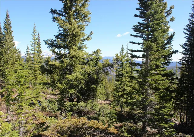 Photo 3 of Land for sale at 18456 Illinois Lode, Black Hawk, CO 80422 | MLS# 4377663 | Listing updated on 2026-10-08