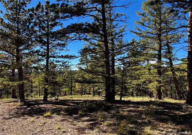 Photo 2 of Land for sale at 31 Pike View Cir, Divide, CO 80814 | MLS# 9819925 | Listing updated on 2026-10-08
