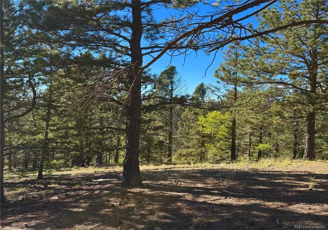 Photo 3 of Land for sale at 31 Pike View Cir, Divide, CO 80814 | MLS# 9819925 | Listing updated on 2026-10-08