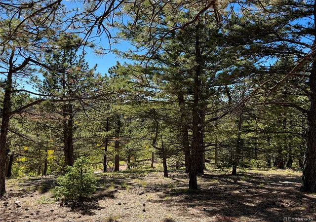 Photo 3 of Land for sale at 31 Pike View Cir, Divide, CO 80814 | MLS# 9819925 | Listing updated on 2026-10-08