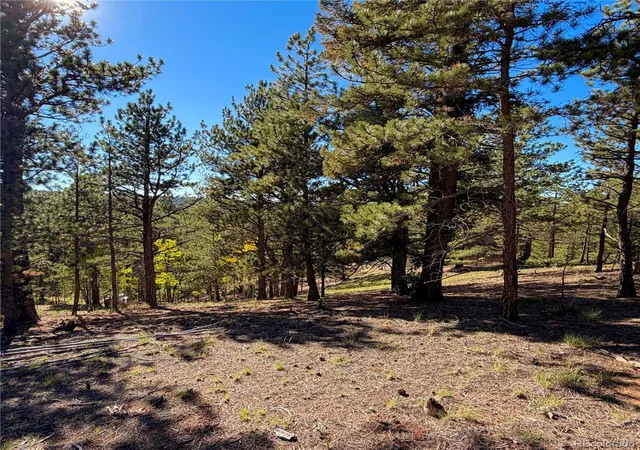 Photo 4 of Land for sale at 31 Pike View Cir, Divide, CO 80814 | MLS# 9819925 | Listing updated on 2026-10-08