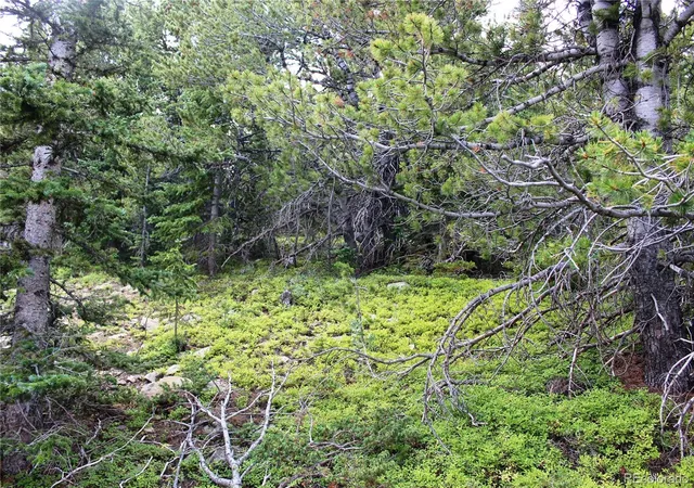Photo 3 of Land for sale at 00 Fs 4111, Black Hawk, CO 80422 | MLS# 5046795 | Listing updated on 2026-10-09