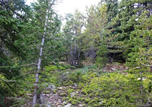Photo 4 of Land for sale at 00 Fs 4111, Black Hawk, CO 80422 | MLS# 5046795 | Listing updated on 2026-10-09