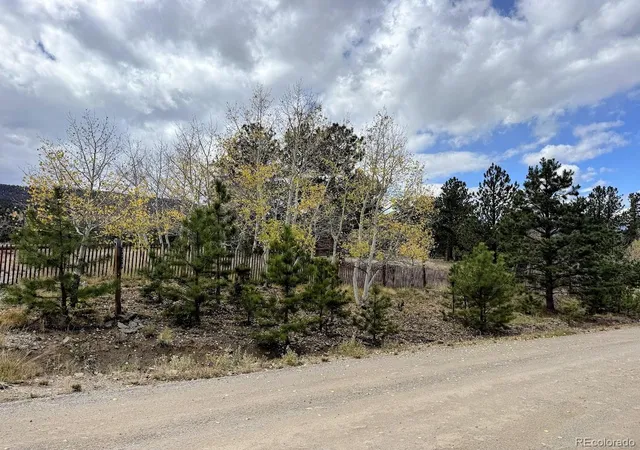 Photo 3 of Land for sale at 3330 Singletree Rd, Hartsel, CO 80449 | MLS# 3751119 | Listing updated on 2026-10-10