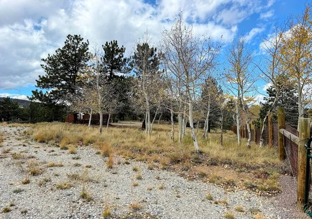 Photo 4 of Land for sale at 3330 Singletree Rd, Hartsel, CO 80449 | MLS# 3751119 | Listing updated on 2026-10-10