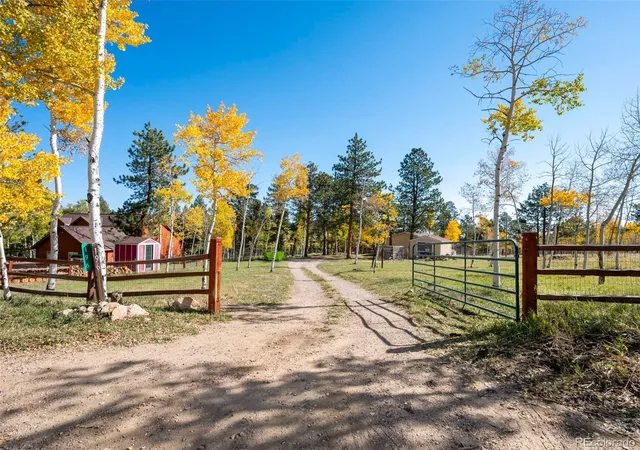 Photo 3 of Single family home for sale at 196 Beaver Trl, Bailey, CO 80421 | MLS# 7074155 | Listing updated on 2026-10-08