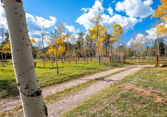 Photo 3 of Single family home for sale at 196 Beaver Trl, Bailey, CO 80421 | MLS# 7074155 | Listing updated on 2026-10-08
