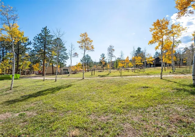 Photo 4 of Single family home for sale at 196 Beaver Trl, Bailey, CO 80421 | MLS# 7074155 | Listing updated on 2026-10-08