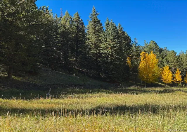 Land for sale at 535 Willow Rd, Divide, CO 80814 | MLS# 1732202