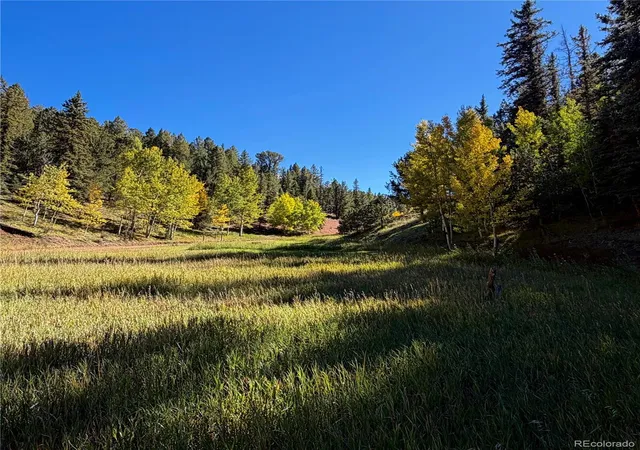 Photo 1 of Land for sale at 535 Willow Rd, Divide, CO 80814 | MLS# 1732202 | Listing updated on 2026-10-08