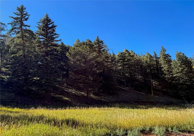 Photo 2 of Land for sale at 535 Willow Rd, Divide, CO 80814 | MLS# 1732202 | Listing updated on 2026-10-08