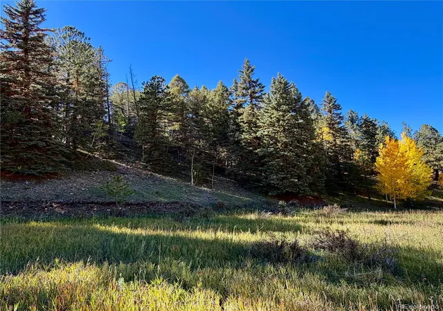 Photo 3 of Land for sale at 535 Willow Rd, Divide, CO 80814 | MLS# 1732202 | Listing updated on 2026-10-08