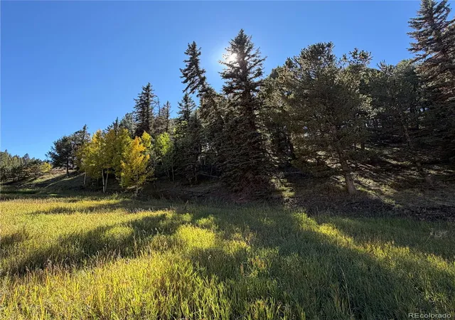 Photo 4 of Land for sale at 535 Willow Rd, Divide, CO 80814 | MLS# 1732202 | Listing updated on 2026-10-08