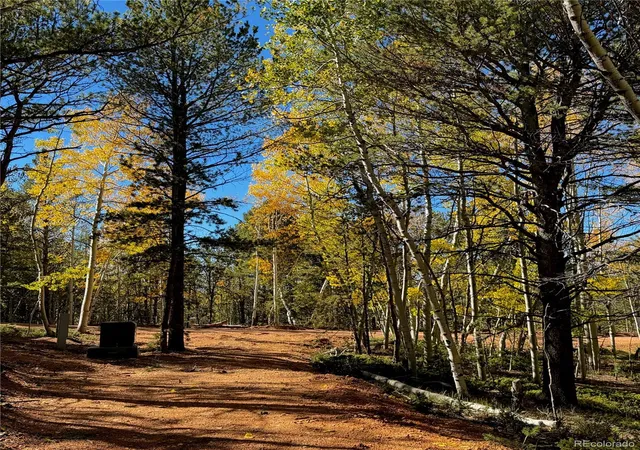 Land for sale at 800 Timber Ridge Rd, Divide, CO 80814 | MLS# 2825464