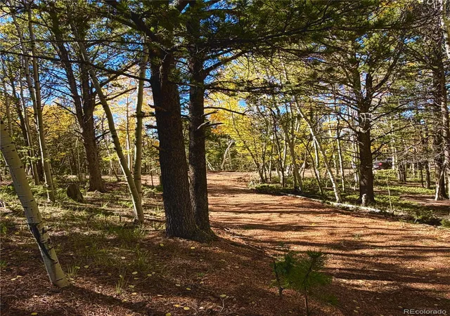 Photo 2 of Land for sale at 800 Timber Ridge Rd, Divide, CO 80814 | MLS# 2825464 | Listing updated on 2026-10-08