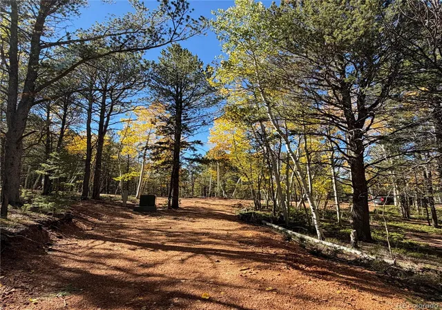 Photo 3 of Land for sale at 800 Timber Ridge Rd, Divide, CO 80814 | MLS# 2825464 | Listing updated on 2026-10-08