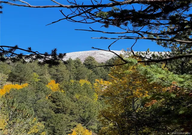 Photo 3 of Land for sale at 800 Timber Ridge Rd, Divide, CO 80814 | MLS# 2825464 | Listing updated on 2026-10-08