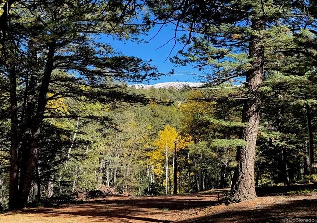 Photo 4 of Land for sale at 800 Timber Ridge Rd, Divide, CO 80814 | MLS# 2825464 | Listing updated on 2026-10-08