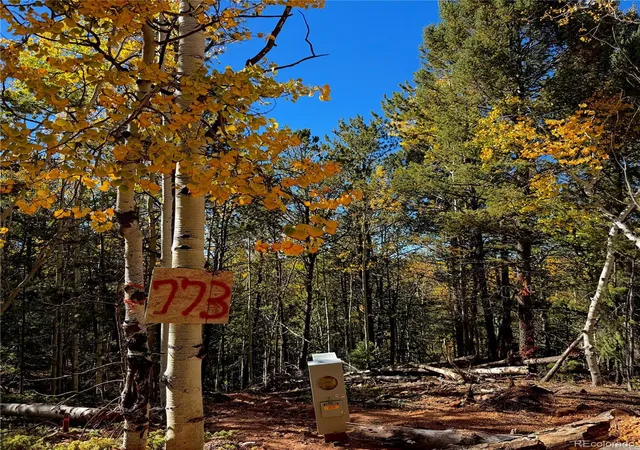 Land for sale at 773 Timber Ridge Rd, Divide, CO 80814 | MLS# 9153424
