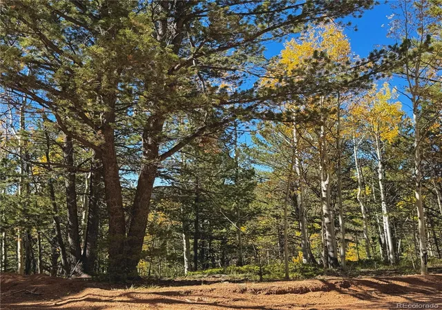 Photo 2 of Land for sale at 773 Timber Ridge Rd, Divide, CO 80814 | MLS# 9153424 | Listing updated on 2026-10-08
