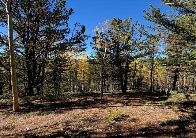 Photo 3 of Land for sale at 773 Timber Ridge Rd, Divide, CO 80814 | MLS# 9153424 | Listing updated on 2026-10-08