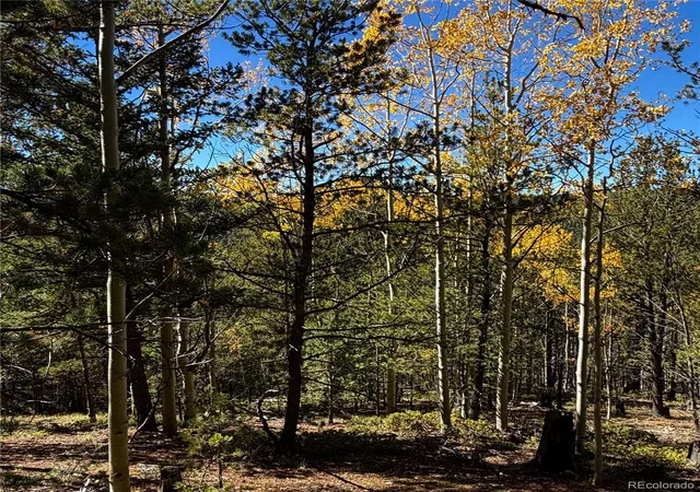 Photo 3 of Land for sale at 773 Timber Ridge Rd, Divide, CO 80814 | MLS# 9153424 | Listing updated on 2026-10-08