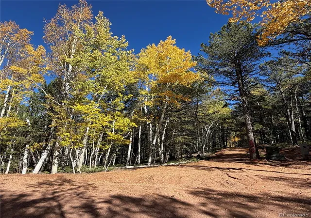 Photo 4 of Land for sale at 773 Timber Ridge Rd, Divide, CO 80814 | MLS# 9153424 | Listing updated on 2026-10-08