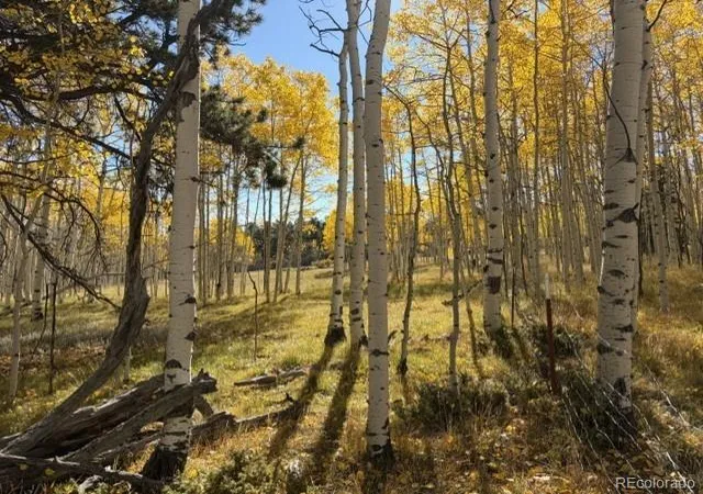 Land for sale at 417 Aspen Way Dr, Florissant, CO 80816 | MLS# 3862076