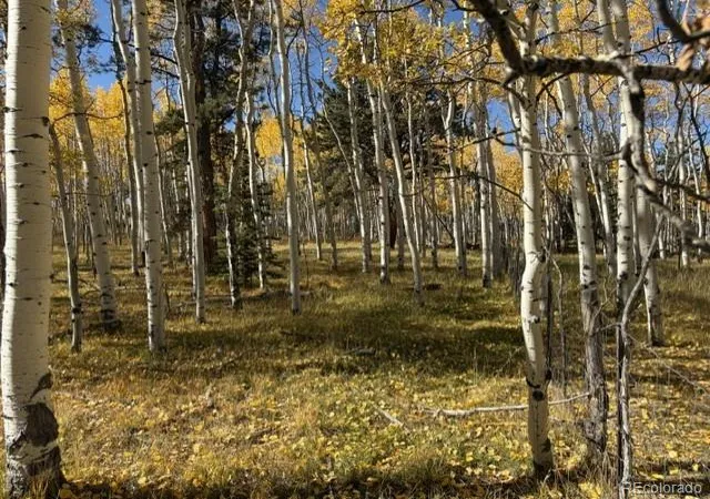 Photo 1 of Land for sale at 417 Aspen Way Dr, Florissant, CO 80816 | MLS# 3862076 | Listing updated on 2026-10-08