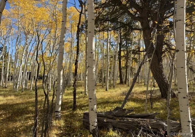 Photo 2 of Land for sale at 417 Aspen Way Dr, Florissant, CO 80816 | MLS# 3862076 | Listing updated on 2026-10-08