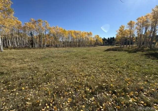 Photo 3 of Land for sale at 417 Aspen Way Dr, Florissant, CO 80816 | MLS# 3862076 | Listing updated on 2026-10-08