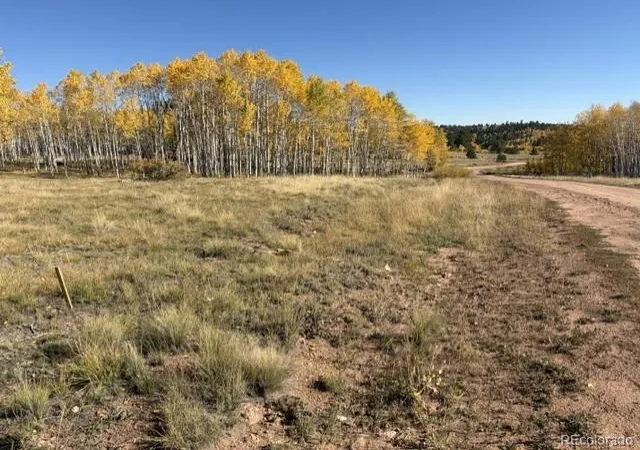 Photo 4 of Land for sale at 417 Aspen Way Dr, Florissant, CO 80816 | MLS# 3862076 | Listing updated on 2026-10-08
