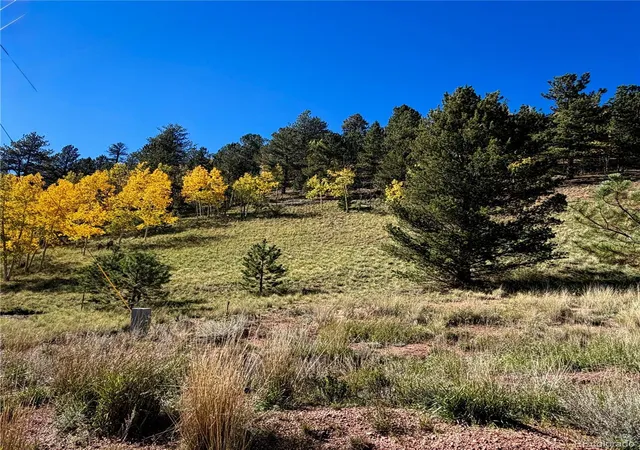 Land for sale at 200 Beaver Pond Rd, Divide, CO 80814 | MLS# 1756917