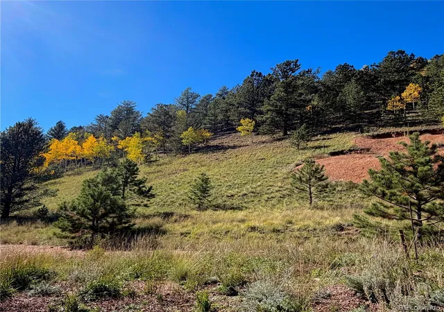 Photo 3 of Land for sale at 200 Beaver Pond Rd, Divide, CO 80814 | MLS# 1756917 | Listing updated on 2026-10-08