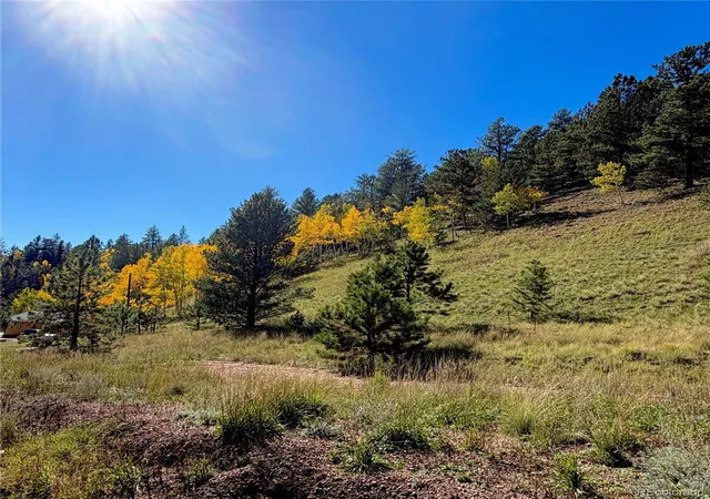Photo 3 of Land for sale at 200 Beaver Pond Rd, Divide, CO 80814 | MLS# 1756917 | Listing updated on 2026-10-08