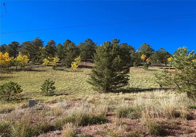 Photo 4 of Land for sale at 200 Beaver Pond Rd, Divide, CO 80814 | MLS# 1756917 | Listing updated on 2026-10-08