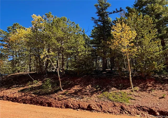 Land for sale at 624 Witherite Dr, Divide, CO 80814 | MLS# 1936642
